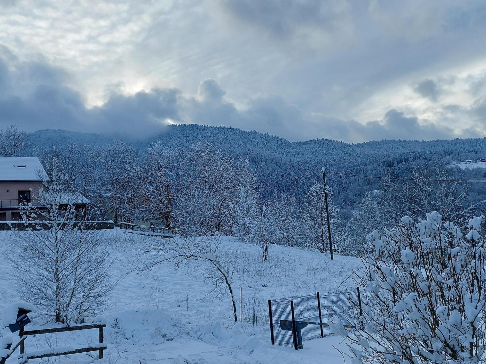 Nice Chalet With Sauna In Vosges Saint-Maurice-sur-Moselle Exterior foto